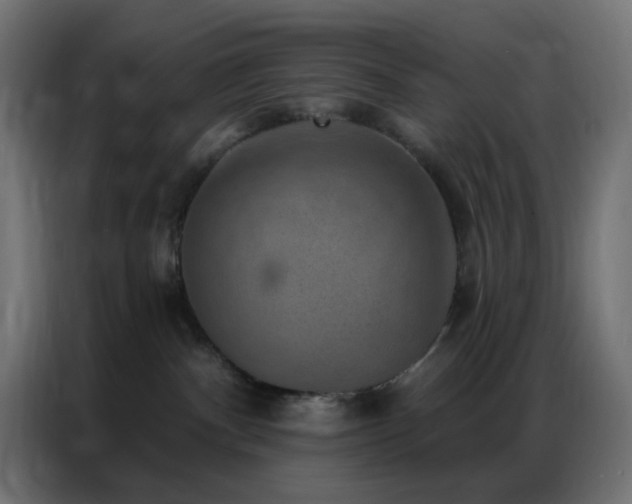 X0000086930140200704161432