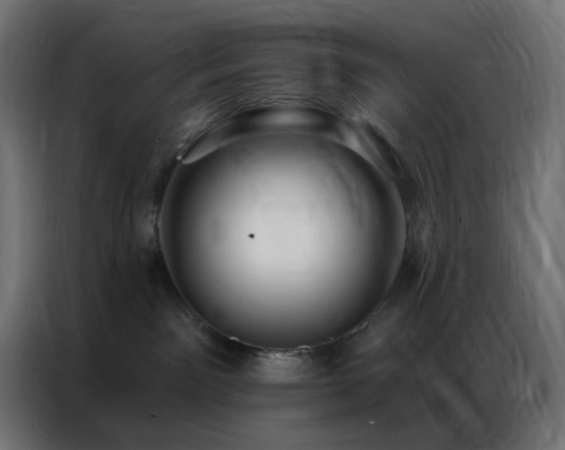 X0000086930141200704161432