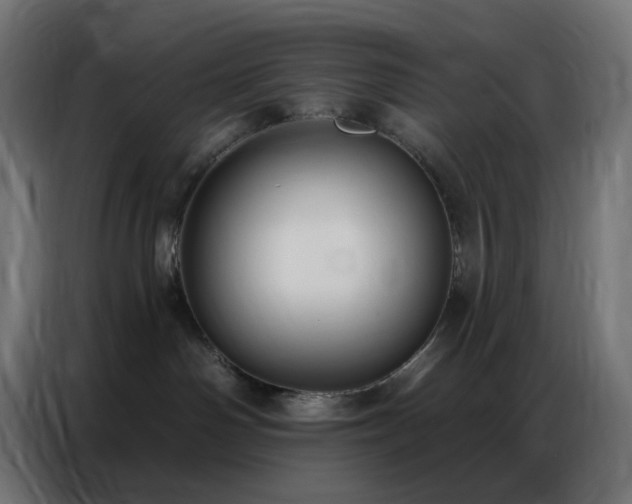 X0000086930142200704161432