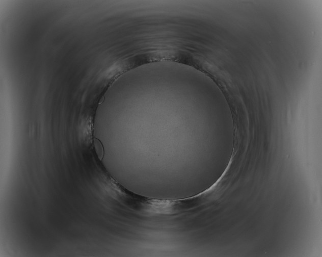 X0000086930144200704161432