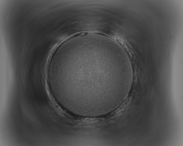 X0000086930145200704161431