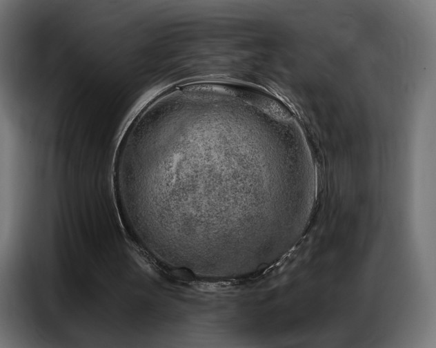 X0000086930147200704161431