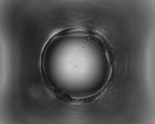 X0000086930148200704161431