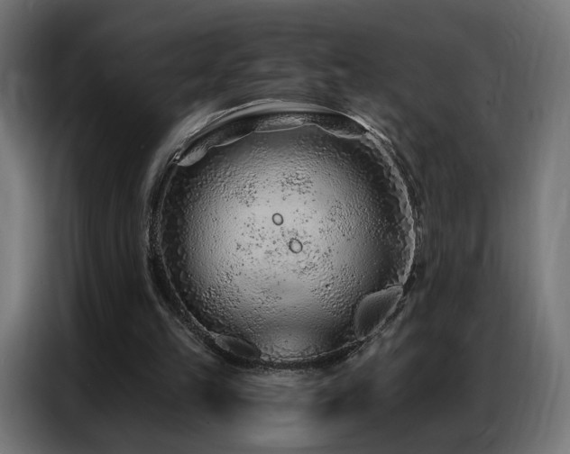 X0000086930149200704161431