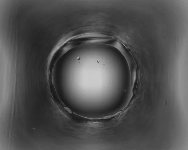 X0000086930150200704161432