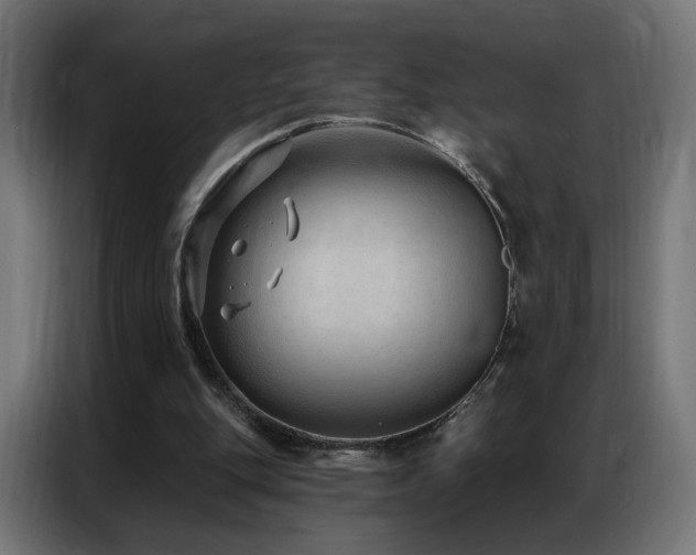 X0000086930151200704161432