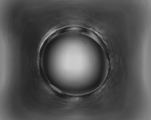 X0000086930152200704161432