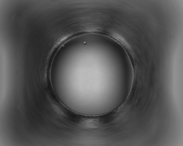 X0000086930155200704161432