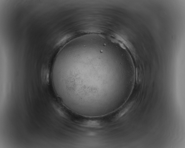 X0000086930157200704161432