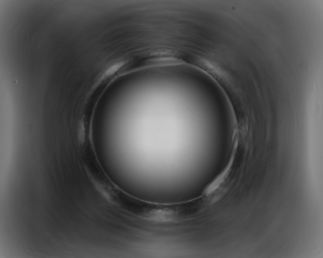 X0000086930158200704161432