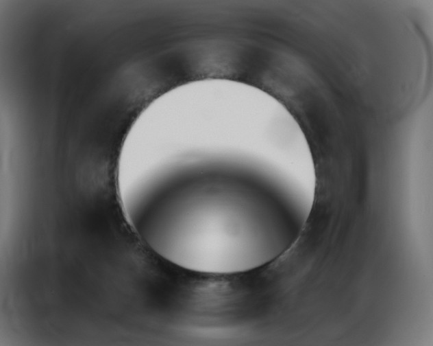 X0000086930162200704161432