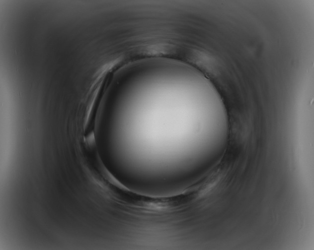 X0000086930164200704161432