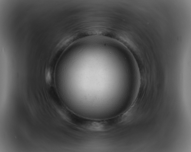 X0000086930166200704161432