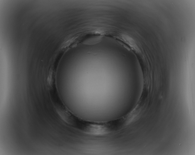 X0000086930167200704161432