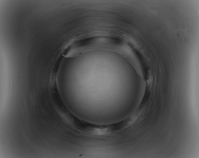 X0000086930168200704161432