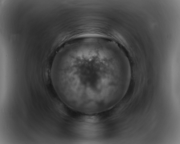 X0000086930169200704161432