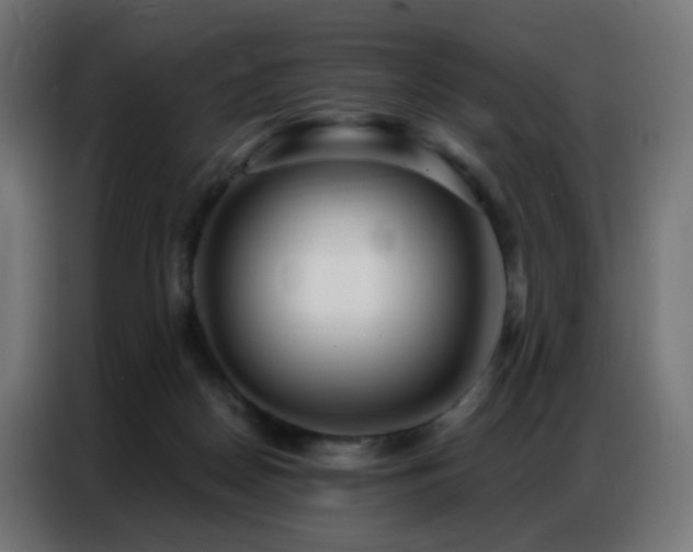 X0000086930170200704161432