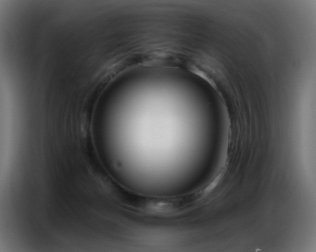 X0000086930174200704161432