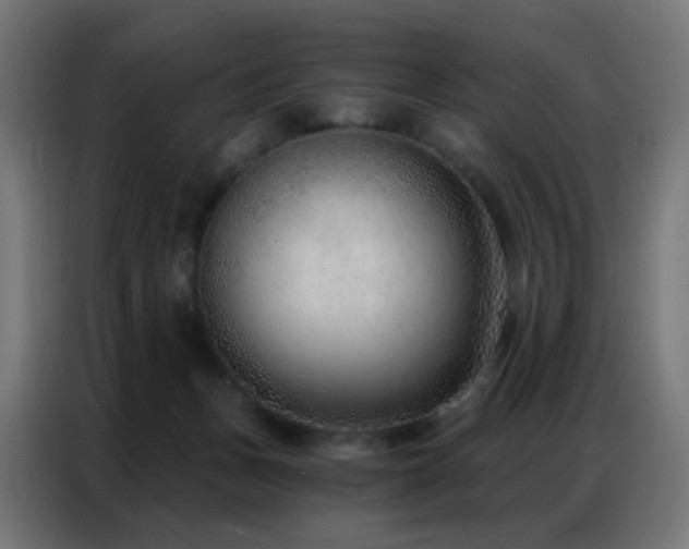 X0000086930175200704161432