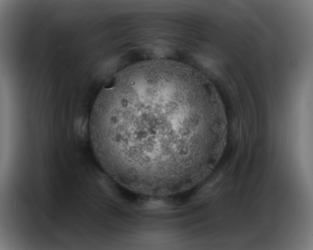 X0000086930177200704161432