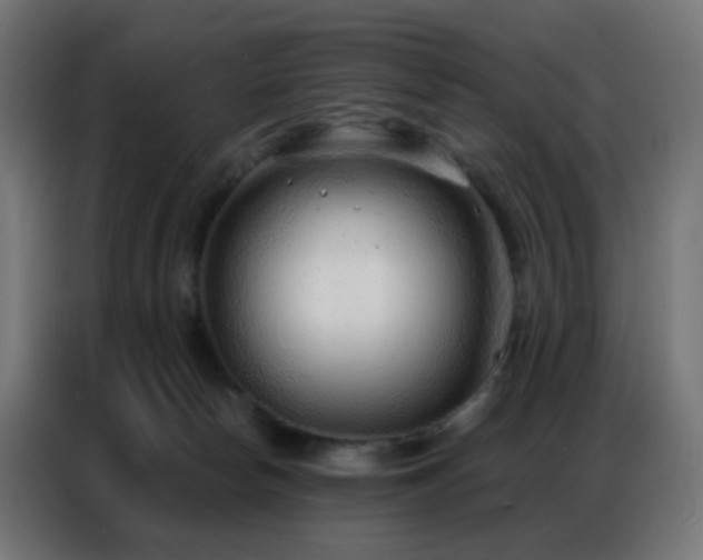 X0000086930178200704161432