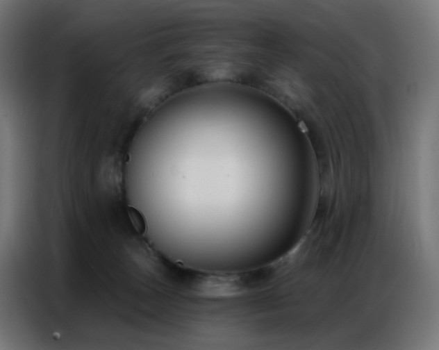 X0000086930179200704161432