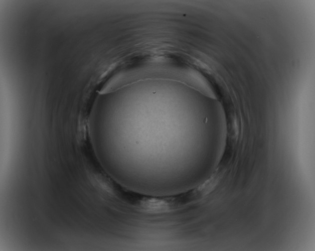 X0000086930180200704161432