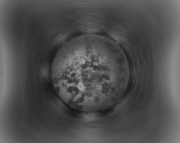 X0000086930181200704161432