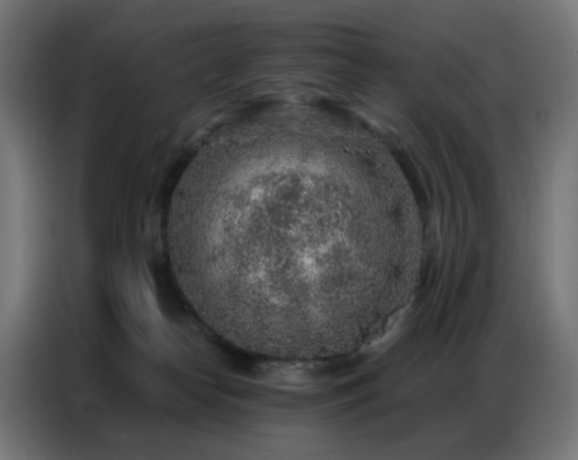 X0000086930182200704161432