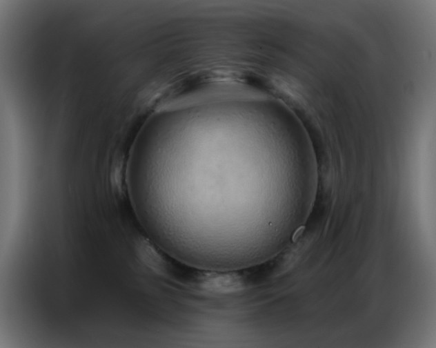 X0000086930185200704161432