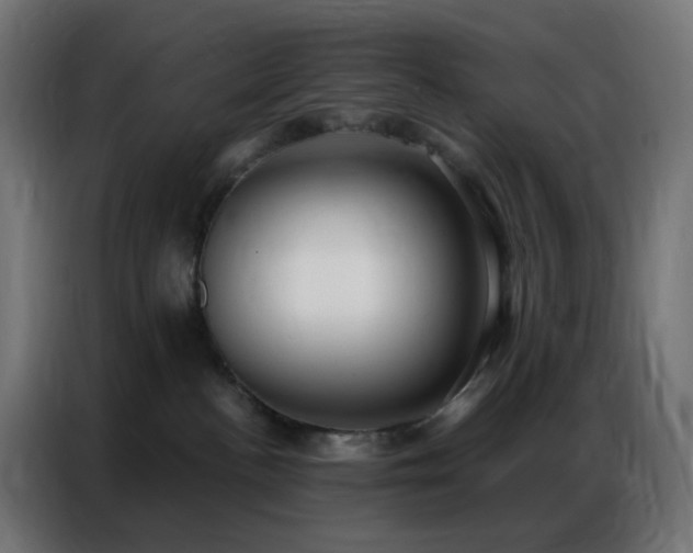 X0000086930188200704161432