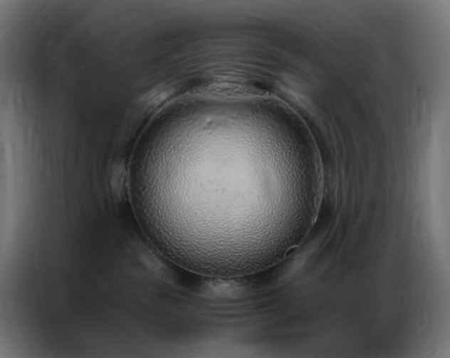 X0000086930189200704161432