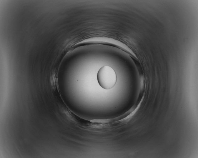 X0000086930190200704161432