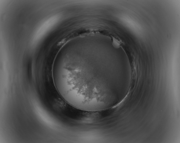 X0000086930191200704161432