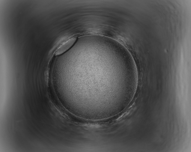 X0000086930194200704161431