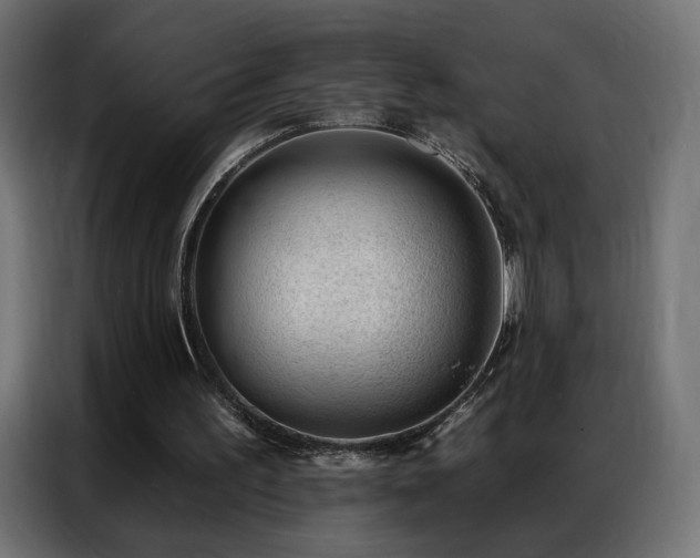 X0000086930195200704161431