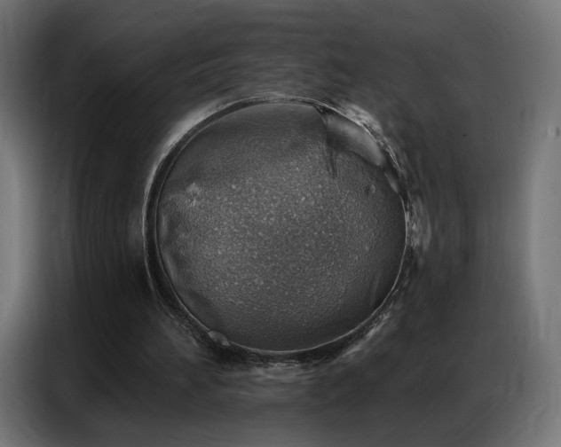 X0000086930196200704161431