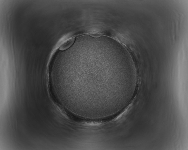 X0000086930198200704161431