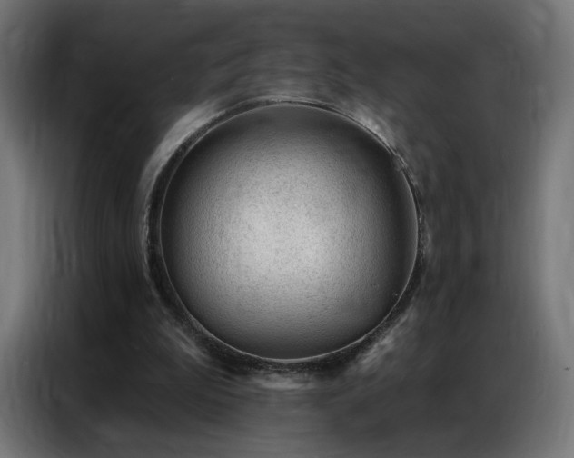 X0000086930199200704161431