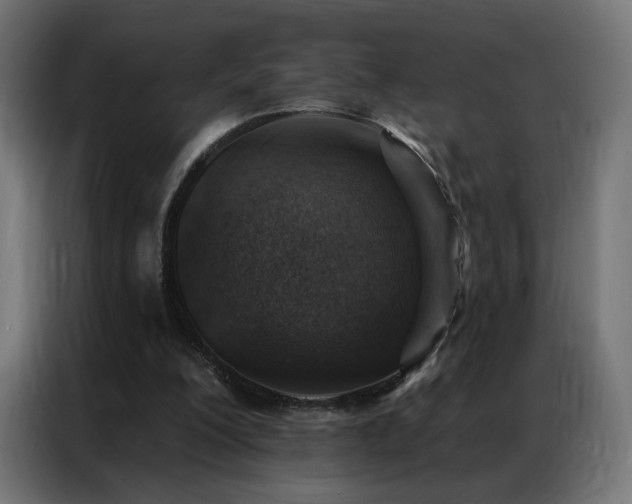 X0000086930200200704161431