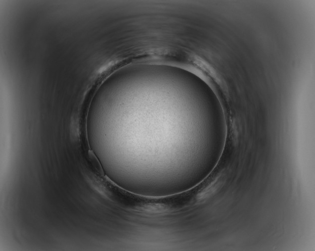 X0000086930203200704161431