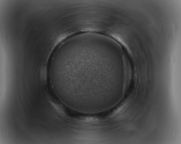 X0000086930204200704161431