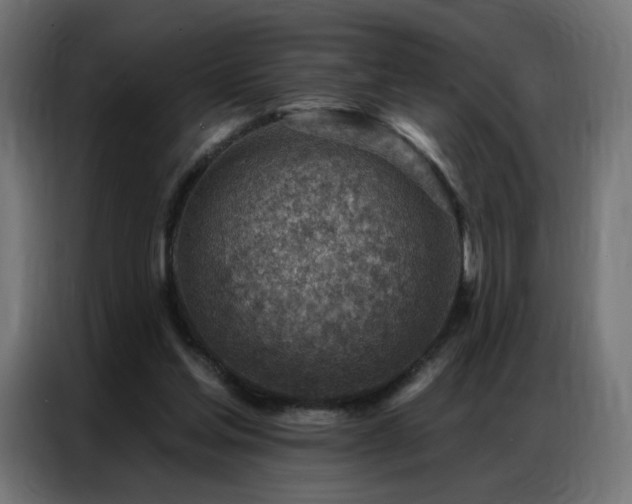 X0000086930205200704161431