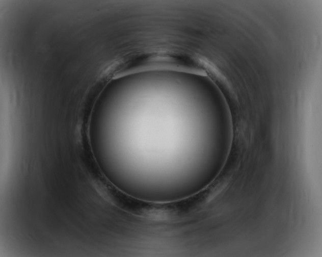 X0000086930209200704161431