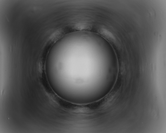 X0000086930210200704161431