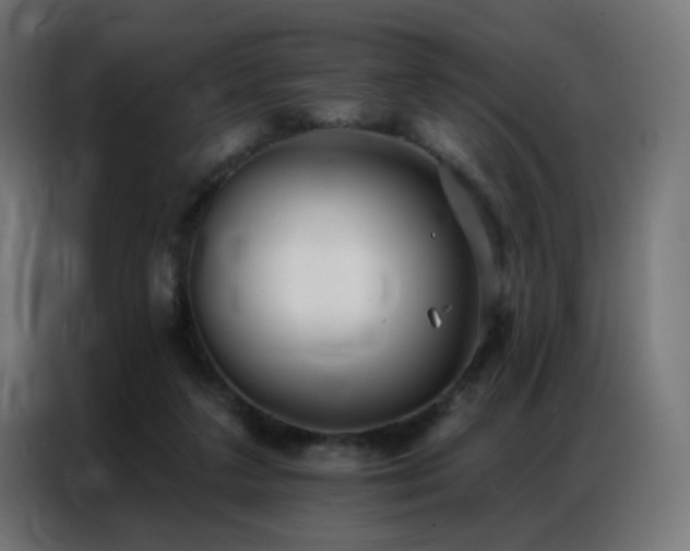 X0000086930211200704161431