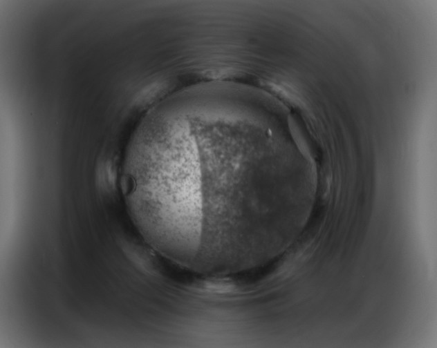 X0000086930214200704161431