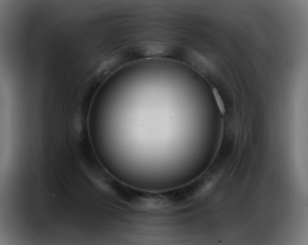 X0000086930215200704161431