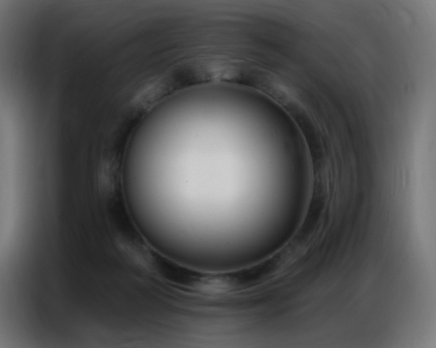 X0000086930218200704161431