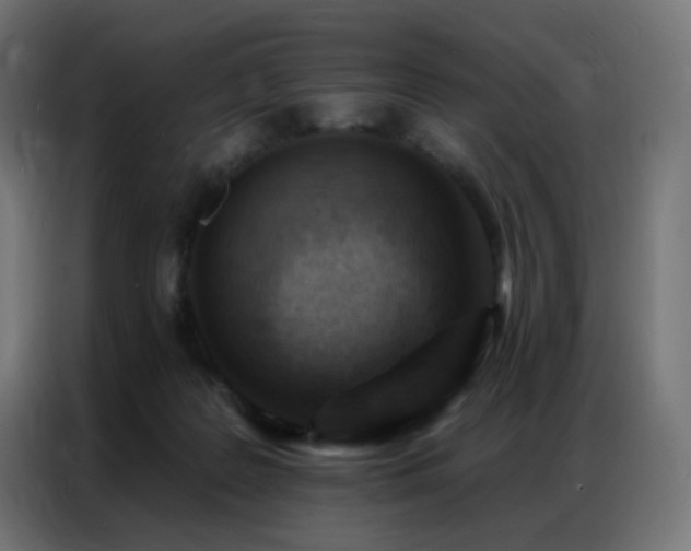 X0000086930219200704161431